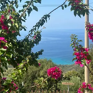 evitas-house.albaniahotels.org/